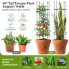 3-Pack Garden Trellis 40"/60" Tall Plant Support Stands with Clips and Ties