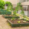 2 Pack 86.5 x 20 Inches Metal Garden Trellis for Climbing Plants